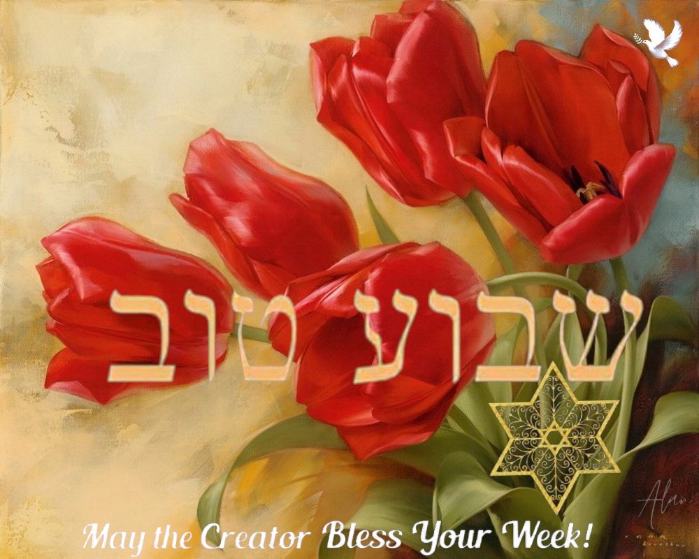 AlanZionist's tweet photo. @lizBeth_Hineni Shalom, thank you very much my dear Beth wish you a nice Sunday with many blessings and have a good week ahead.
๐บ๐ค๐๐บ๐๐
#WE #ShavuaTov #HappySunday #Blessed #Tefilot https://t.co/oiSAbYYSrP