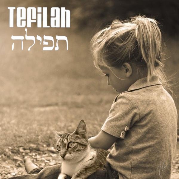 AlanZionist's tweet photo. @lizBeth_Hineni Shalom, thank you very much my dear Beth wish you a nice Sunday with many blessings and have a good week ahead.
๐บ๐ค๐๐บ๐๐
#WE #ShavuaTov #HappySunday #Blessed #Tefilot https://t.co/oiSAbYYSrP