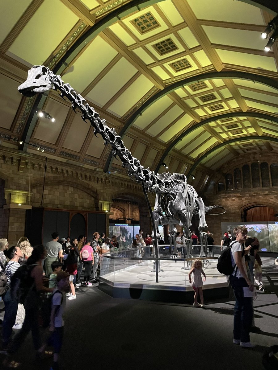 IronWhovian's tweet photo. Reunited with an old friend after a long time this week. π₯Ή
#NaturalHistoryMuseum #Dippy #DippyReturns https://t.co/ImFFCr9Wdg