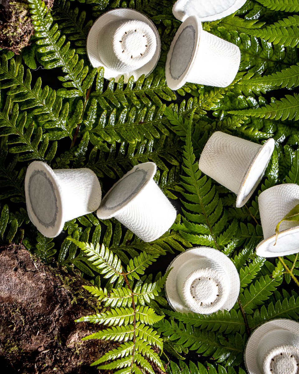 ecoCoffeeStore's tweet photo. Choosing Ola Coffee capsules means no compromise. It means the best coffee for you & the best for the environment.
#ecoFriendly #ecoLiving #zeroWasteLiving #saveTheEnvironment #sustainableLife #coffeeholics
#coffeePeople #coffeeEveryday #ecoFriendlyPackaging #coffeeGeeks https://t.co/vU3ipdciNG