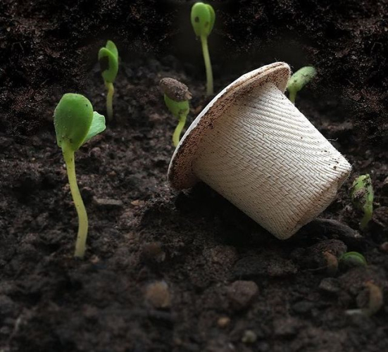 ecoCoffeeStore's tweet photo. Choosing Ola Coffee capsules means no compromise. It means the best coffee for you & the best for the environment.
#ecoFriendly #ecoLiving #zeroWasteLiving #saveTheEnvironment #sustainableLife #coffeeholics
#coffeePeople #coffeeEveryday #ecoFriendlyPackaging #coffeeGeeks https://t.co/vU3ipdciNG