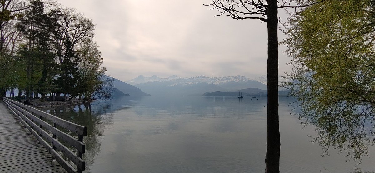 nan@archlinux: ~$ tweet media