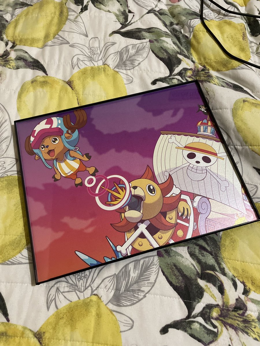 One of my fav purchases yesterday @ anime impulse, and now I’m finally committed to watching #OnePiece