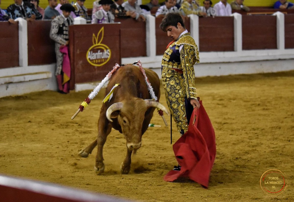 merida_toros's tweet photo. 📸 SILENCIO para Antonio Santana en el 6️⃣ de la noche #Merida22 

📆 4 de septiembre 🐂 La Glorieta #ElToreoEterno 

@huertas_melanie https://t.co/M5ETRzkxes