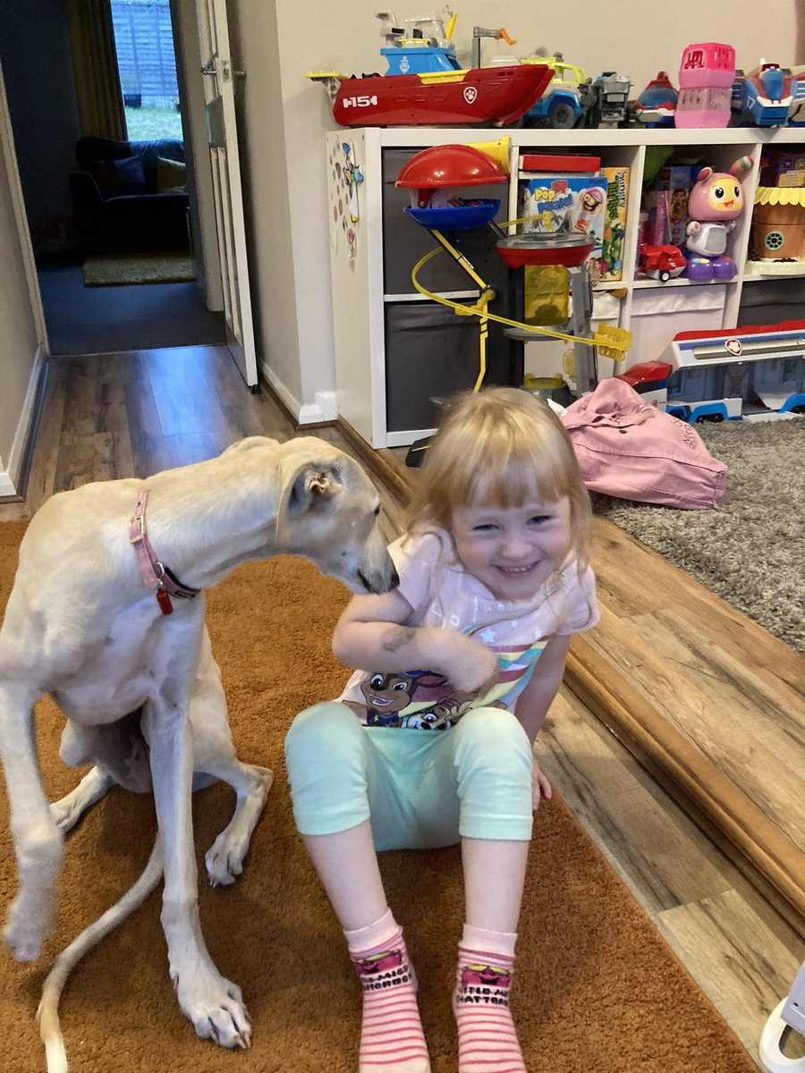 Tilly & Dexter tweet media