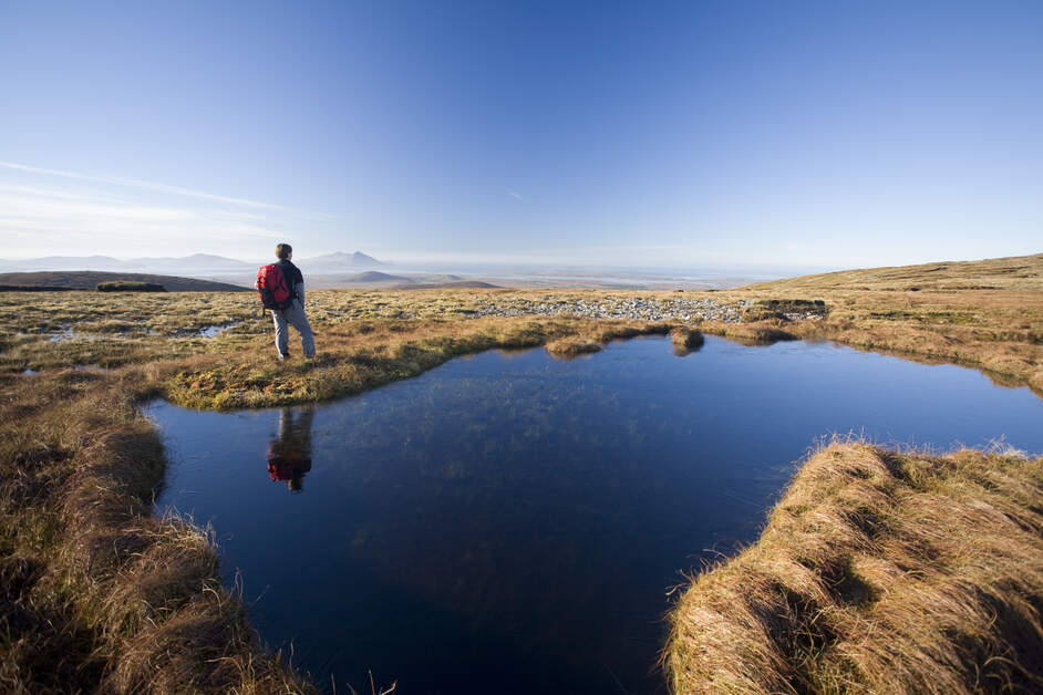 MayoDotIE's tweet photo. Tangled up in blue at Slieve Carr, Wild Nephin National Park

#PhotoOfTheDay #WildAtlanticWay #Mayo

📸 Courtesy of Gareth McCormack https://t.co/RZgh4eiihh