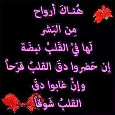 #قروبات_ملك_الدعم_والاضافات
<a href="/qr_123_/">🌹 ‏ريآحـ❣ـہ آلحـ❣ـہنـ❣ـہينـ❣ـہ 🌹</a> 😂دعم الكبير اووي
<a href="/Sa__ra____/">‏🌹.🔥 ‏لــــيــدىᏚᎯ ᎡᎯبــــكــيــزة🔥 🌹</a> 
<a href="/12__Gmy_/">🌹 gogo 🌹</a>
<a href="/Mm_u55/">منعم محمد « Monem Mohamed»</a>
@Hodoa20
@7YY7B
<a href="/mnr__3/">⚔️دعم منوشة حساب مشترك تيم منوشه⚔️</a>
@All2022a
@noureddine1717
@H_srour_1
@EL_Malkaa
<a href="/10li__/">‏ ‏ ‏ ‏ ٲבםנ ❂ ‏CR7 𓃵</a>
@__oocv
<a href="/shawq333/">shawq</a>
<a href="/ALjanabi_83/">̲M̲o̲h̲a̲m̲m̲e̲d ̲A̲l̲j̲a̲n̲a̲b̲i̲</a>
<a href="/fahd_2020501/">ابو نايف</a>
<a href="/ar_e_f/">•• ɑհʍ3ժ àɾҽƒ ••</a>
<a href="/ljjti/">العابر🔥🦋🇵🇸🦋</a>
<a href="/fwad24/">ﻓ̲̣̐ؤاد</a>بقيادة مستر