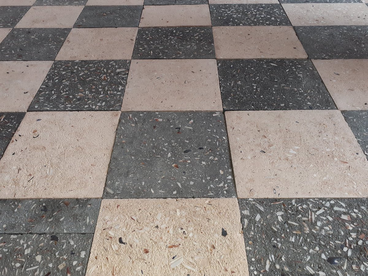 Sustainable floor tiles. Made from crushed muscle and oyster shells. Replaces concrete tiles.  At the Edinburgh botanics.
#concrete #oysters
#muscleshells #sustainableconcrete #edinburghbotanicgardens