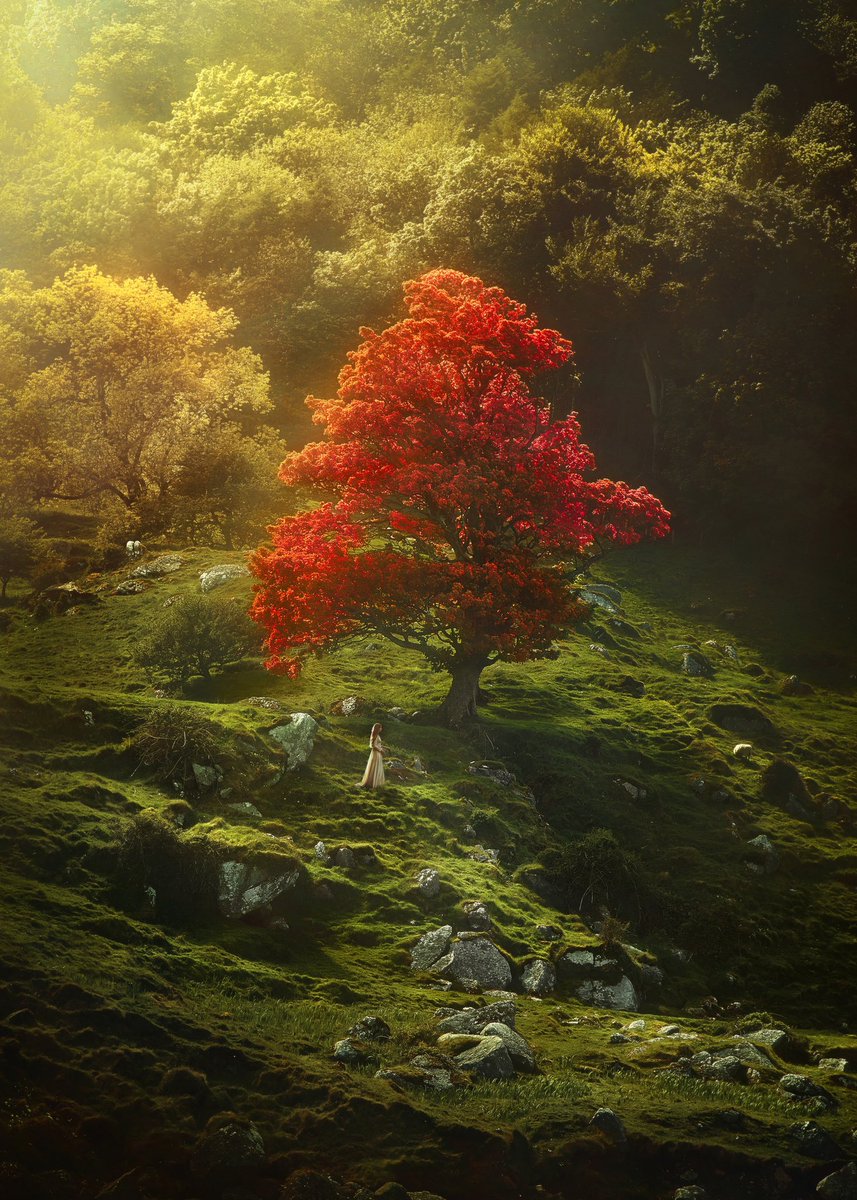 Every leaf speaks bliss to me