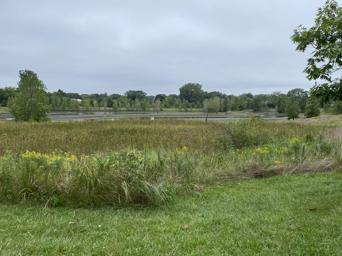 Mary Beth Doyle Park in Ann Arbor now has 39 lbs less trash thanks to the clean up efforts from #t0634 and #t2415!! Now disc golfers, dog walkers, and bike riders can enjoy a cleaner environment! <a href="/Samanthaaa0634/">Samantha Hurley</a> <a href="/wells_lex/">Lex.Wells@0634</a> <a href="/krussell808/">Kathy</a> <a href="/aleahmarie19/">Aleah Jacinto</a> <a href="/Matthewfrom2415/">Matthew</a>