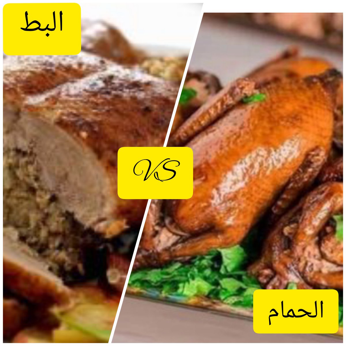 #البطvsالحمام
بتحب ايه اكتر انا بنسبالي الحمام يكسب