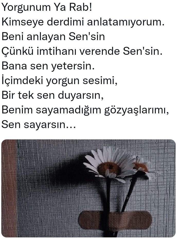 meryem şahi (@sahi_meryem) on Twitter photo 