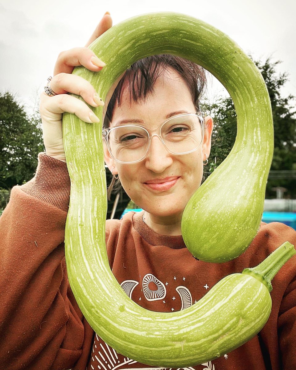 Abis_snaps's tweet photo. My #tromboncinos bring all the boys to the yard 💚 #girlswhogarden #allotment #growyourown #selfsufficient #gyo #knobshapedveg https://t.co/3i44Xdg48r