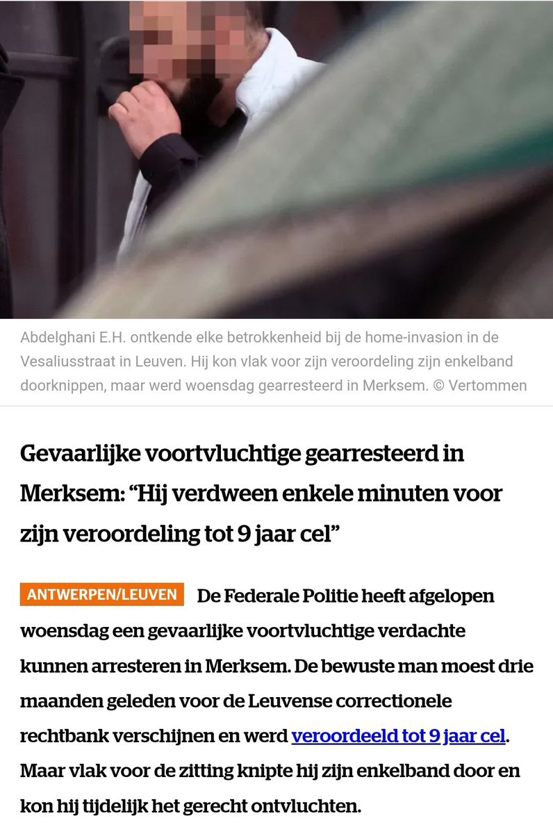 vlaams_leeuwtje tweet picture
