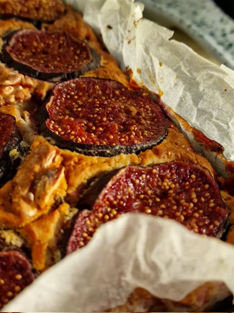 dashofprosecco's tweet photo. Here she is #figcake #figseason https://t.co/tPf46C8Pl7