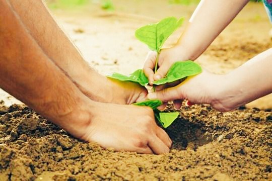 SNRDA2019's tweet photo. Planting seedlings alone is not enough; Effective management and awareness campaign must be provided.
@JustAwHirsi
@AmbGamal
@gabowduale
@HodderClimate
@1MohamedOmar
@RuwaydaMustafah 
@sayidwarsameA 
@Abdirachiid
@SowdaSudi https://t.co/7RHba53lrI