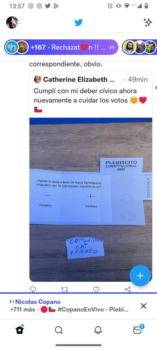 Brain_damagePF's tweet photo. N°00324952 @ServelChile desde cuenta con nombre Catherine Elizabeth se sube foto de voto, acto que es ilegal. Está el número ahí mismo. https://t.co/xOoUfpTusu