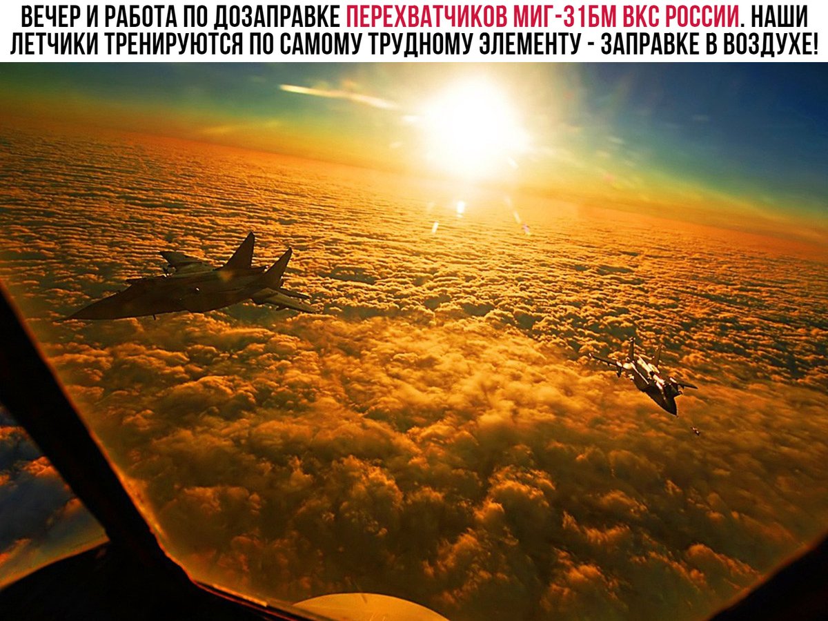 Вежливые Люди (@vegchelovek) on Twitter photo 