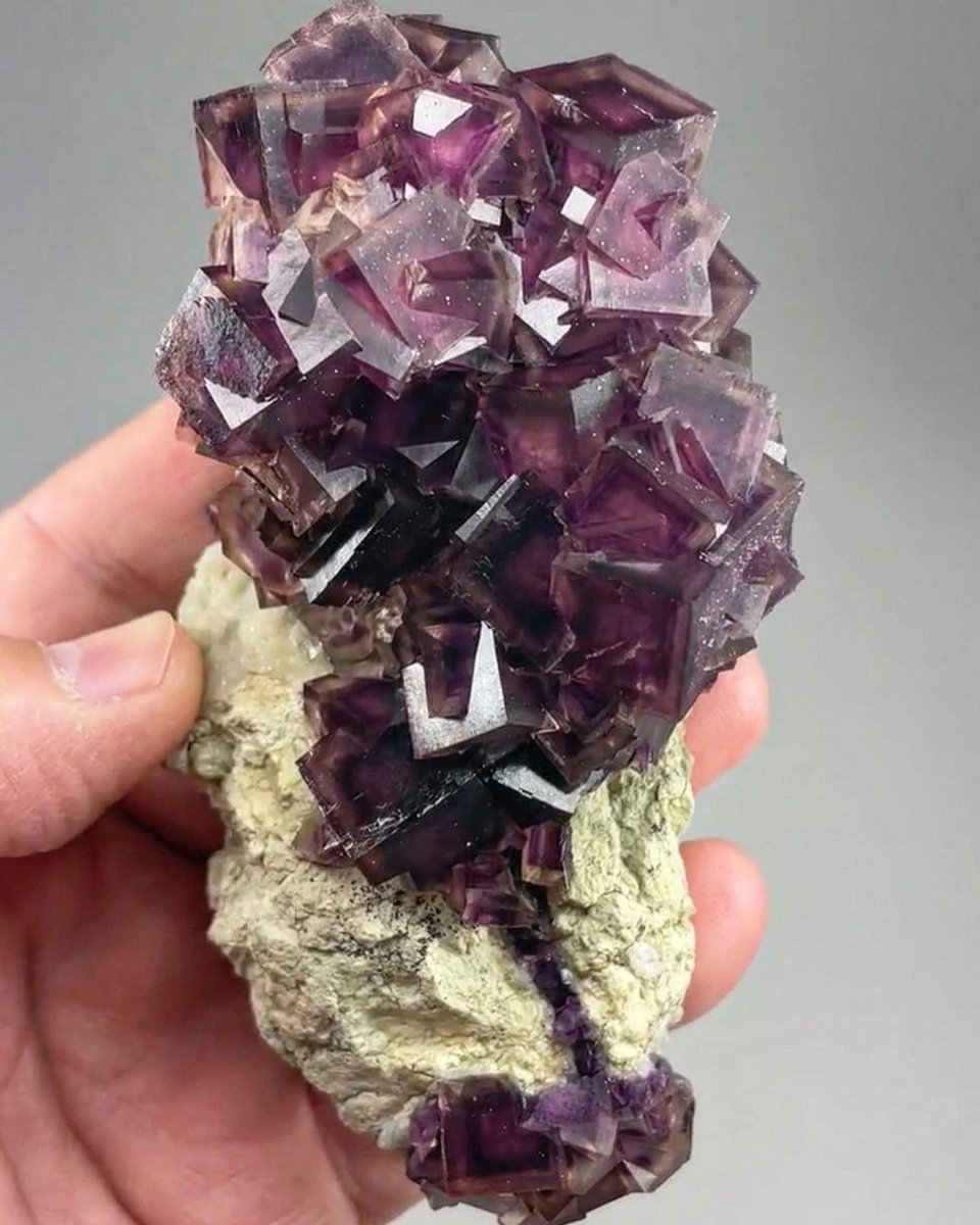 GeologyTime's tweet image. Gorgeous rosy purple distinctly color zoned glassy and gemmy cubic crystals of fluorite

Photo: Weinrich Minerals, Inc

#minerals #crystals
