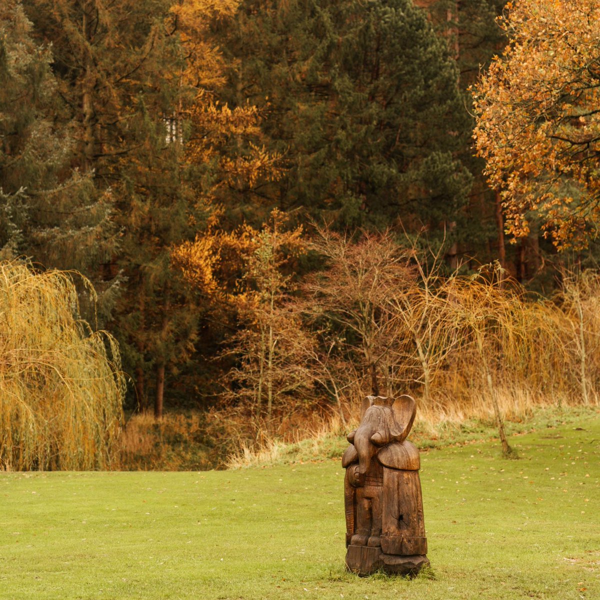 Riversidecabin1's tweet photo. With some availability left in September and October, when are you booking your Autumn break away? from just Β£125 a night ππ¦π #autumn #romanticbreak #romance #cuddleseason #ecopod #firepit #hottub https://t.co/6MH9IrlfG8