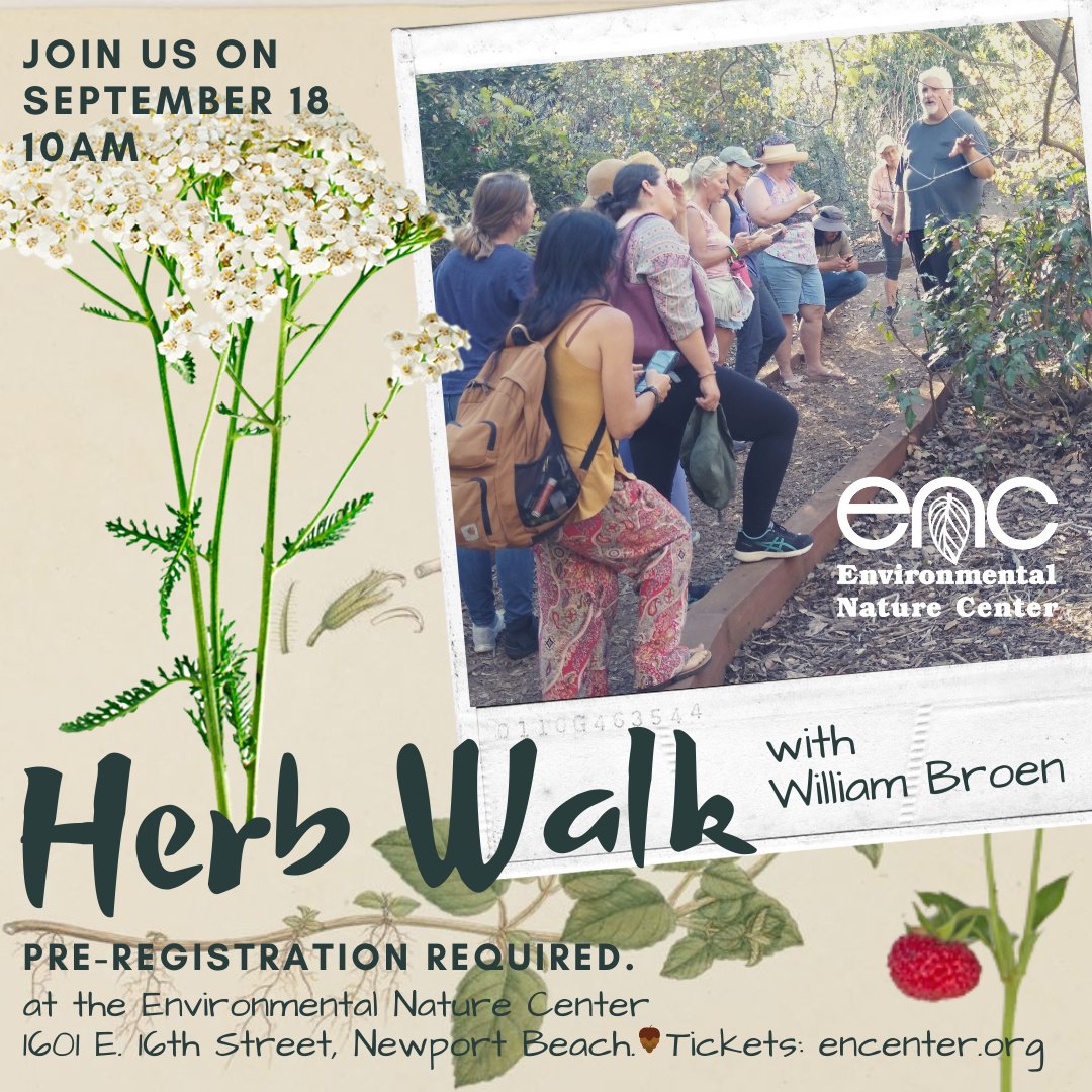 Join us at the Environmental Nature Center in Newport Beach for a Native Plant Uses Walk on September 18 at 10AM! Herbalist William Broen will discuss traditional and modern uses of native plants. Registration Required at ow.ly/ta3o50KzBV0