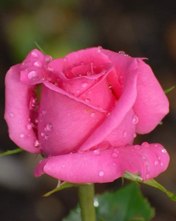 <a href="/Nicolle53447890/">ꕤ*Nicolle*ꕤ</a>