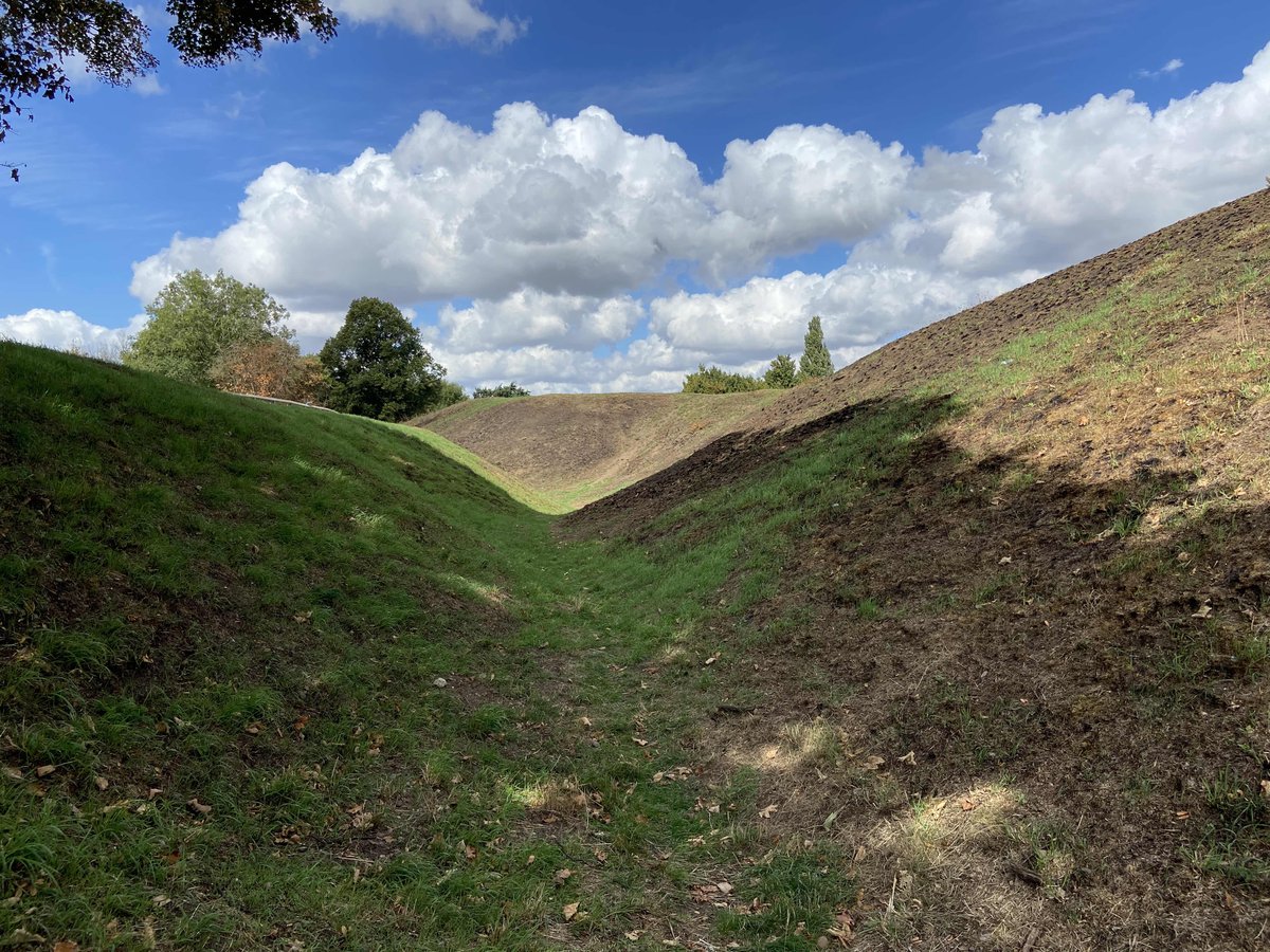 Little green shoots of hope as nature starts to recover on the Queens Sconce.