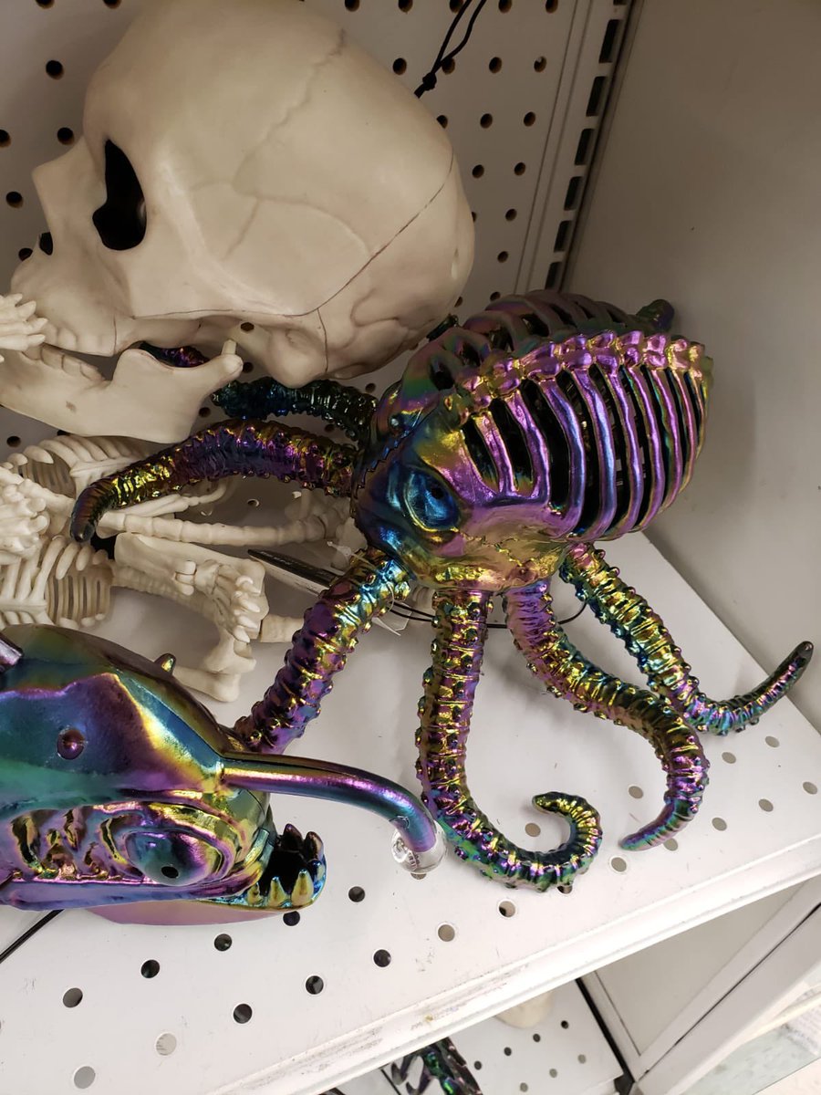 Kelly Kapsar tweet media