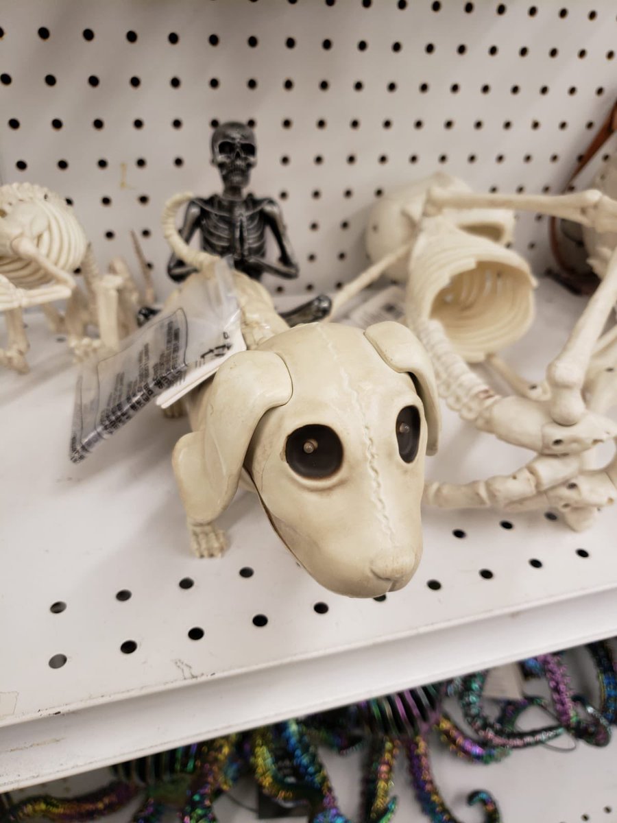 Kelly Kapsar tweet media