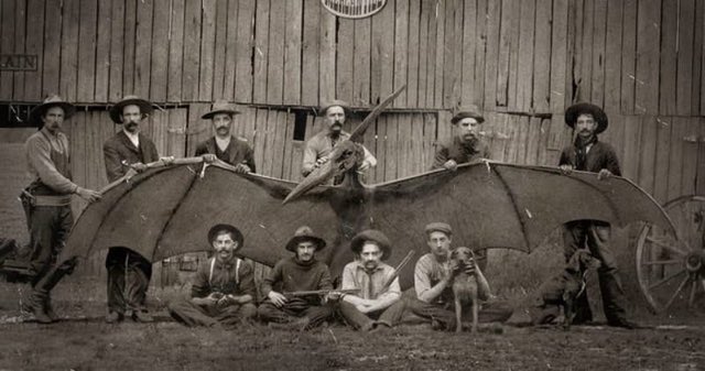 SenoritaConNepe's tweet photo. A finales del siglo XIX se cazó al último de los pterosaurios, extinguiendo a estas majestuosas criaturas de la faz de la Tierra.
El tipo del centro es Phil Tippett, el líder de la expedición que abatió al reptil volador.
#Historia #MitosyLeyendas #TweetOriginal https://t.co/Gf8a1aMt2f