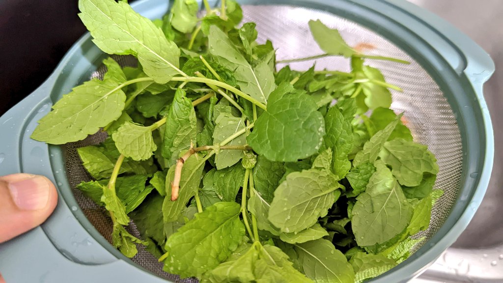 Wassim Chegham tweet media