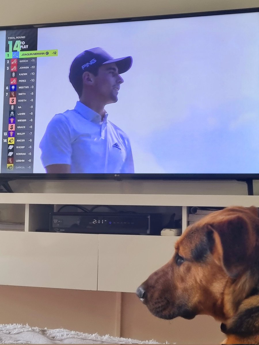 Everyone here supporting JoaKING... @LIVGolfInv