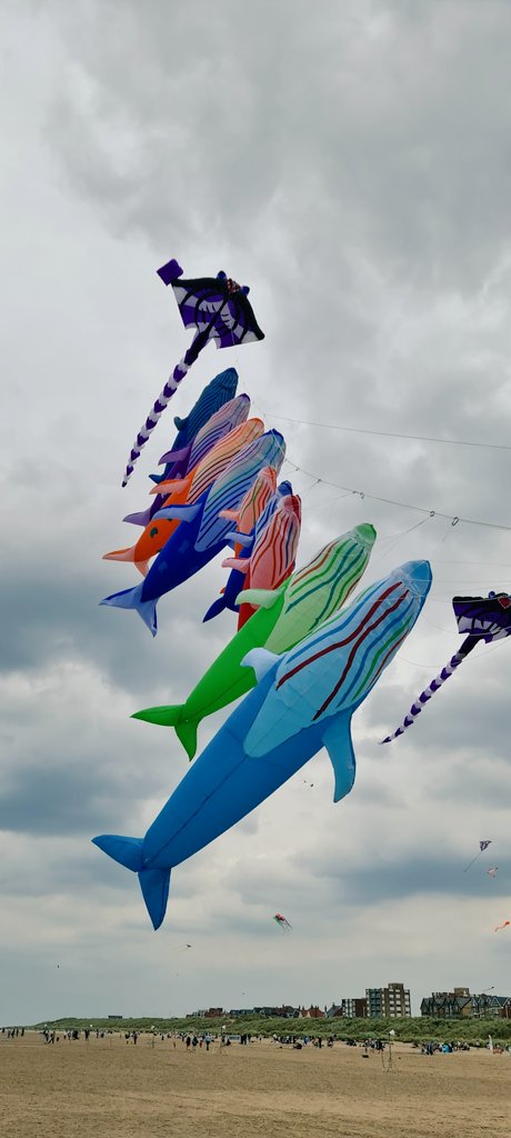 DiscoverFylde's tweet photo. Thanks to everyone who visited St Annes over the weekend for the kite festival. With changeable weather we managed to get plenty of kite flying on Friday night, Saturday and early on Sunday. Thanks to the kite teams and all those behind the scenes for a smooth, successful event https://t.co/zJsTeRvJpR