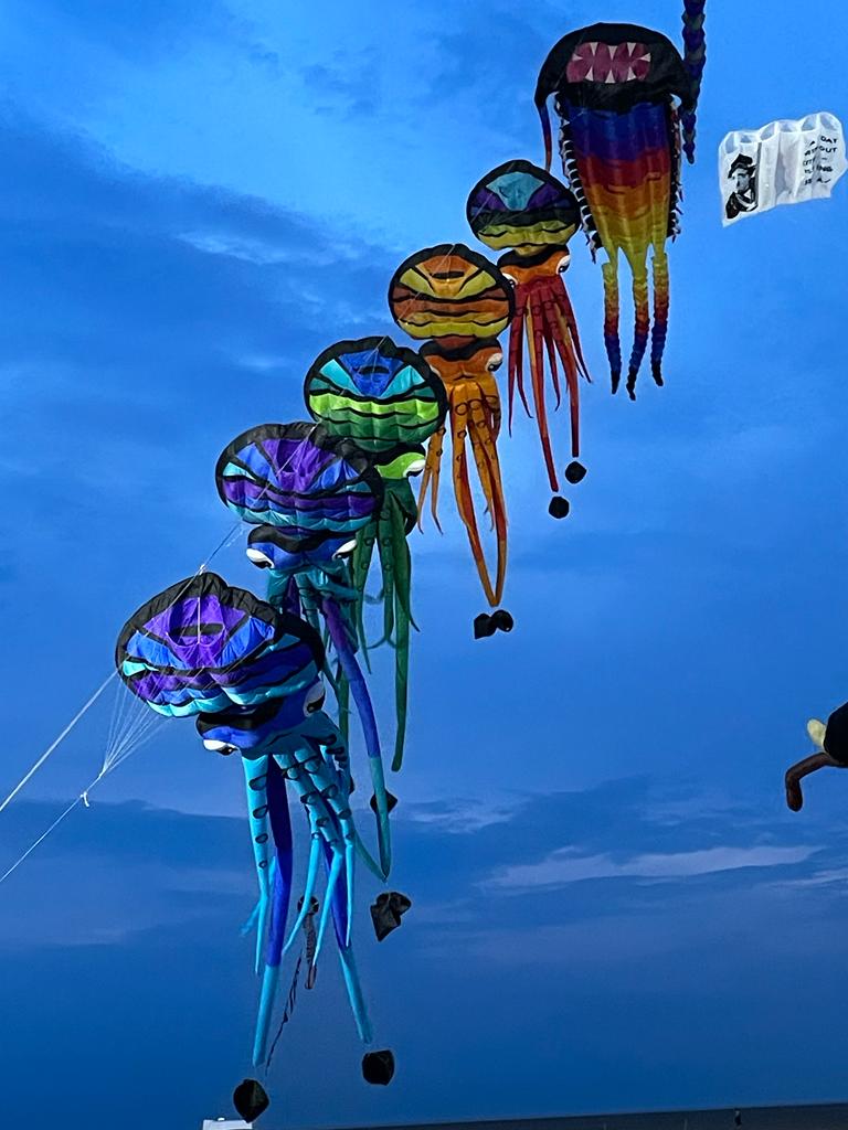 DiscoverFylde's tweet photo. Thanks to everyone who visited St Annes over the weekend for the kite festival. With changeable weather we managed to get plenty of kite flying on Friday night, Saturday and early on Sunday. Thanks to the kite teams and all those behind the scenes for a smooth, successful event https://t.co/zJsTeRvJpR