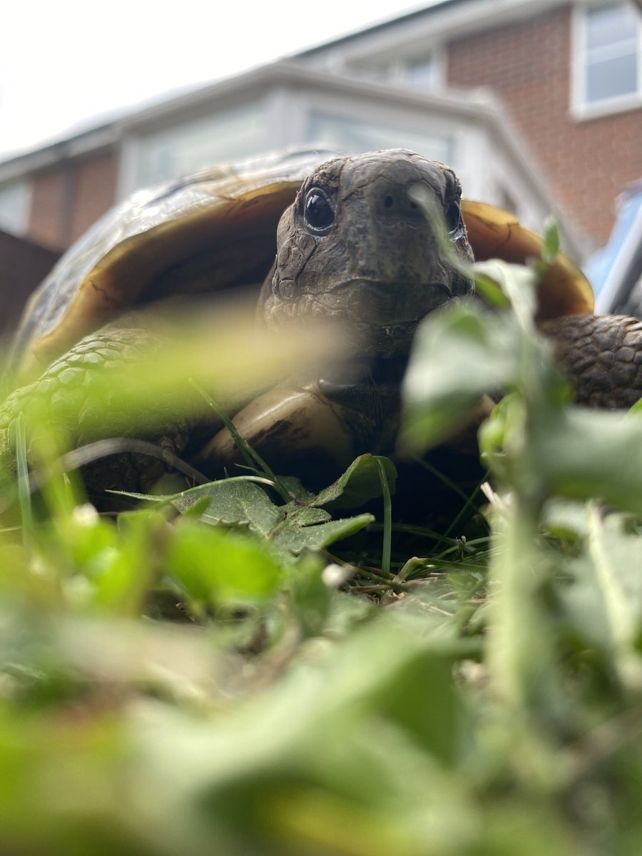 James Newbigging tweet media