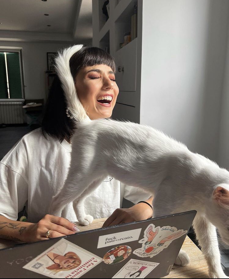 ziggysoleri's tweet photo. sorry for interrupting, I just don't think something can be more important than petting me. 😽 https://t.co/nSoOG3dNel
