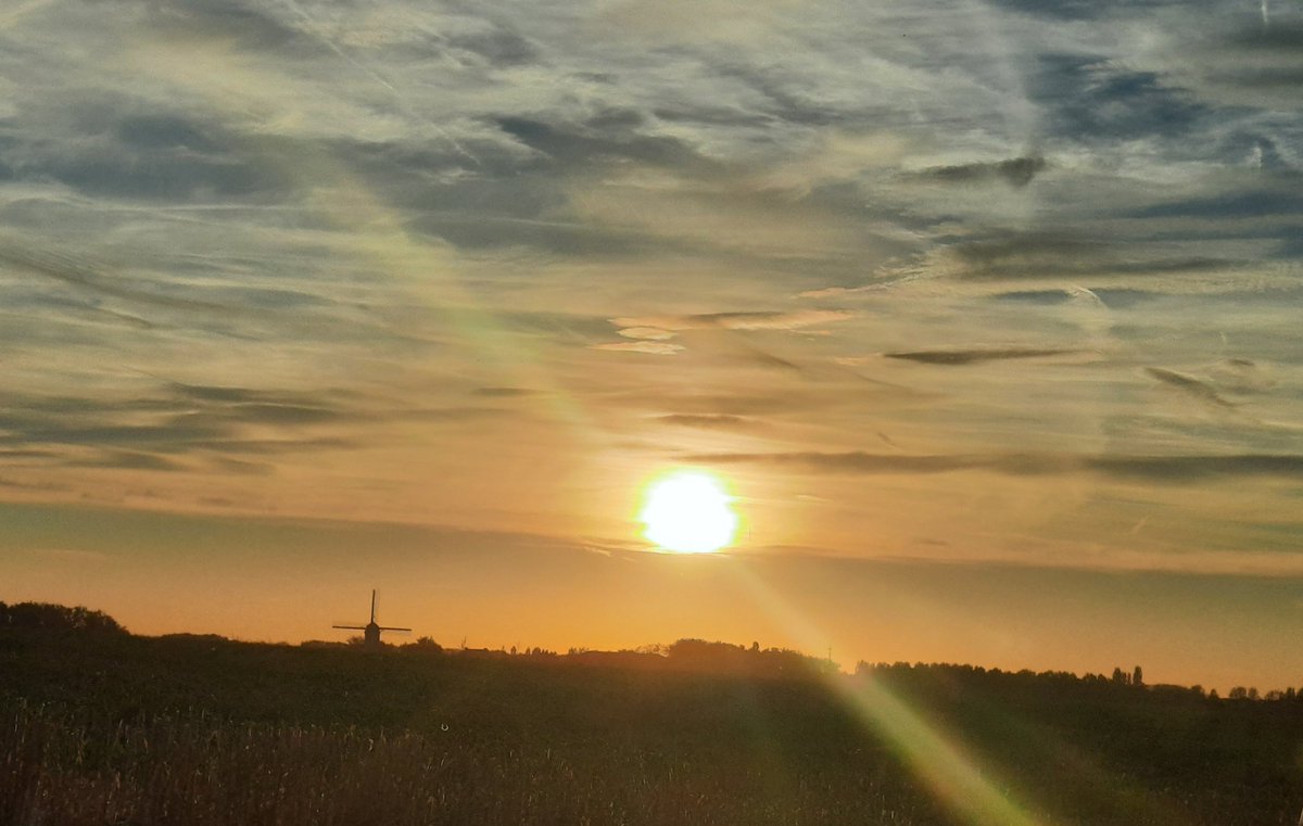 mcietje's tweet photo. Mijn schilderijtje van vandaag
Op weg naar huis...in #Balegem https://t.co/67hPjj8jVi