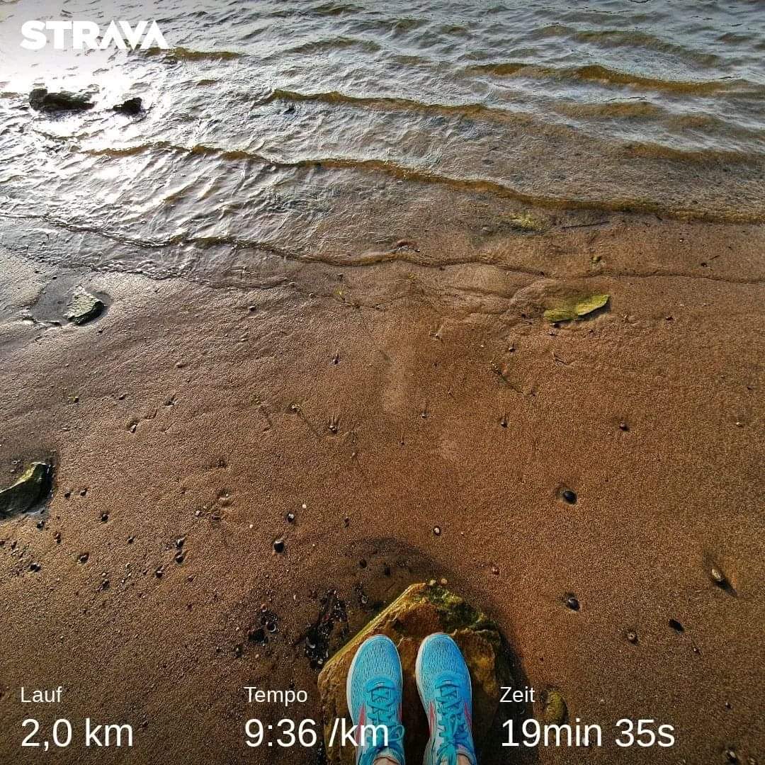 SassenachPlace's tweet photo. #MyMPC #runday #runpeakerrun another 2K Intervall Run and then a wonderful walk along the river back home...do i reached 5,5 Km for the #munrostepchallenge
@mypeakchallenge https://t.co/WfksWzgn1m