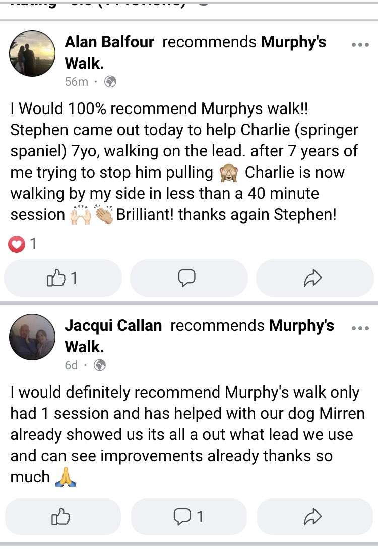 weefenians's tweet photo. If you’re looking for 🐕 dog obedience lessons at almost half the price of most trainers my friend has his own business where every customer so far has only needed 1 lesson to fix their dogs problem, look at the reviews,link in the tweet below👇🏻 https://t.co/w7e4NTbFdf