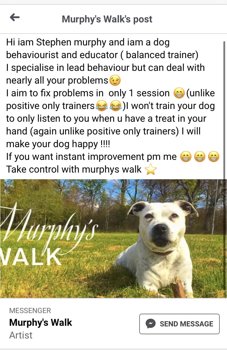 weefenians's tweet photo. If you’re looking for 🐕 dog obedience lessons at almost half the price of most trainers my friend has his own business where every customer so far has only needed 1 lesson to fix their dogs problem, look at the reviews,link in the tweet below👇🏻 https://t.co/w7e4NTbFdf