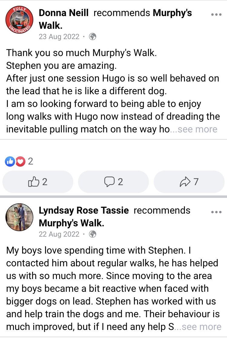 weefenians's tweet photo. If you’re looking for 🐕 dog obedience lessons at almost half the price of most trainers my friend has his own business where every customer so far has only needed 1 lesson to fix their dogs problem, look at the reviews,link in the tweet below👇🏻 https://t.co/w7e4NTbFdf