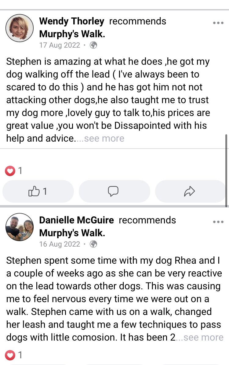 weefenians's tweet photo. If you’re looking for 🐕 dog obedience lessons at almost half the price of most trainers my friend has his own business where every customer so far has only needed 1 lesson to fix their dogs problem, look at the reviews,link in the tweet below👇🏻 https://t.co/w7e4NTbFdf