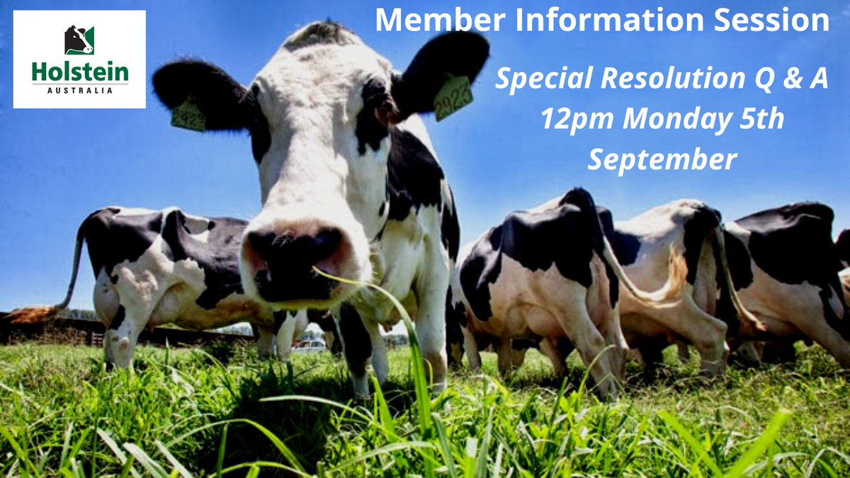 Register in advance for today's online 1 hour Q&amp;A session at 12pm on the Special Resolutions on Board Committees, Company Secretary and Transitional Provisions. Find out more and register to attend at bit.ly/3dTYhfd

#HolsteinCommunity