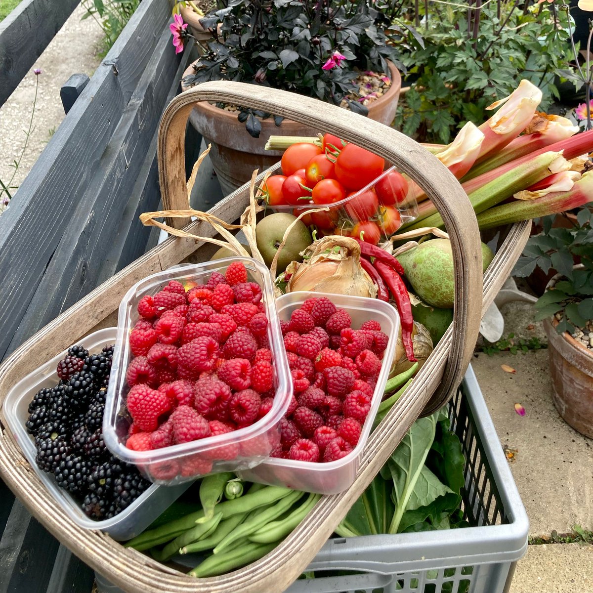 pottyplotters's tweet image. To end the week pork chop, green beans, potatoes &amp;amp; plot carrots followed by rhubarb &amp;amp; raspberry crumble with custard!

A full week off the plots with bits from the shop to feed 4 adults, nutritional, tasty &amp;amp; filling. At what cost? 

#allotment #allotmentlife #gyo #growyourown