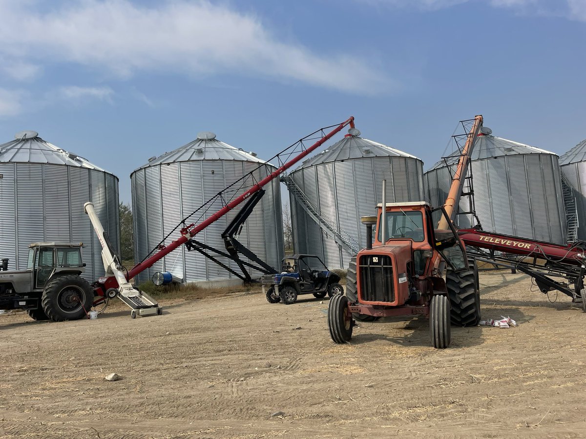 dean_erickson's tweet image. Set up for todays bin switch. It like 1980 around here.  #oldpower #cheappower the old Allis chalmers worse than a round cab John Deere. Need ether everyday.