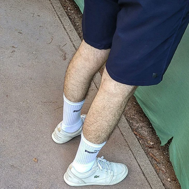 hairylegsfan's tweet photo. #hairylegs #hairy #hairyman #hairymen #jambes #jambespoilues #legsfetish #piernaspeludas #piernas #gayguy #gay #gayman #hairygay #hairyguy #fetish #legsfan #sneakers #sneakerfetish #pumasocksfetish #pumasocks #socks #lacosteaddict #lacostefetish #lacosteshoes #lacoste #puma https://t.co/UkN8yaltgU