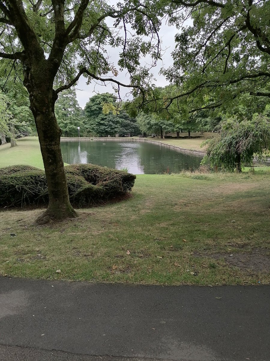 bazzie1967's tweet photo. #nhs1000miles #NHS1000MILES #YTD 1627 #Miles #wtd 40 #miles #NHSactive #walking #exercise #keepingfit #mentalhealth lots of lovely walks. πΆββοΈπββοΈπΆπ¦’ποΈπ https://t.co/Lh334V6Mwn