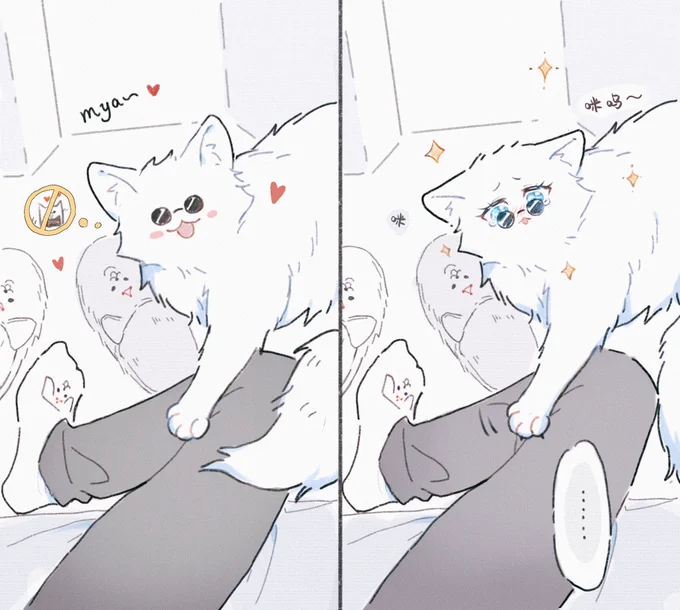 *五伏

"可以和咪生小猫吗?"
"不行" 
