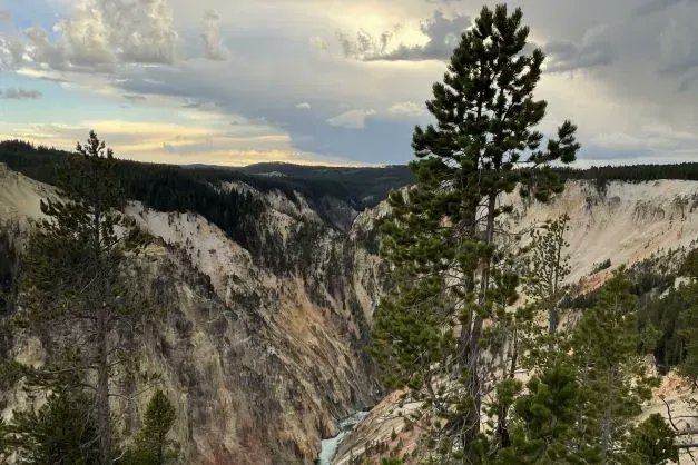 Versatackle tweet media