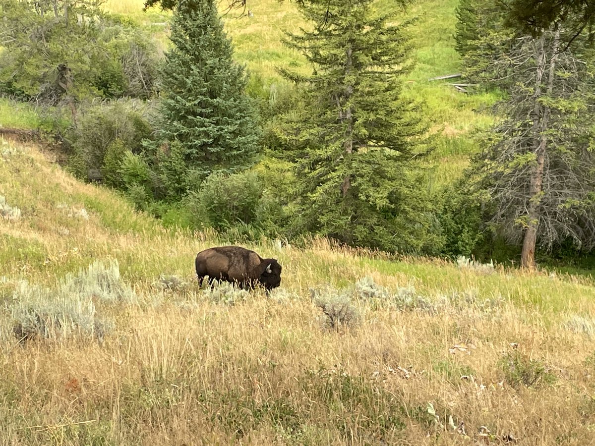 Versatackle tweet media